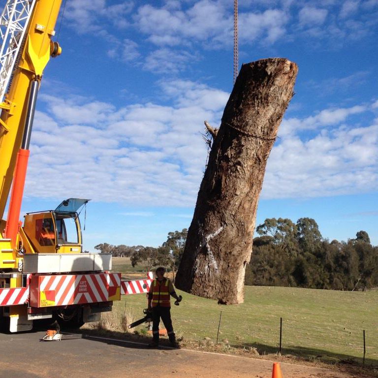 Hickman's team at work