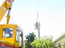 Hickman's tree service project 1