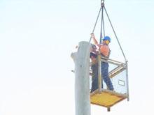 Hickman's tree service project 2