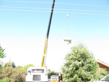 Hickman's tree service project 11